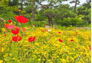 화담숲 예약 방법, 모노레일 시간