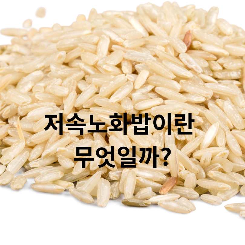 저속노화밥 효과와 저속노화밥 황금비율 공개!