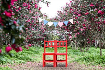 휴애리 동백축제