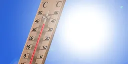 여름철 온열질환 예방 식단 구성법