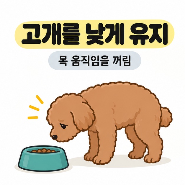 고개를 낮게 유지와 목 움직임을 꺼림 문구 아래 갈색 강아지가 청록색 밥그릇 앞에서 고개를 낮춘 채 멈춘 삽화