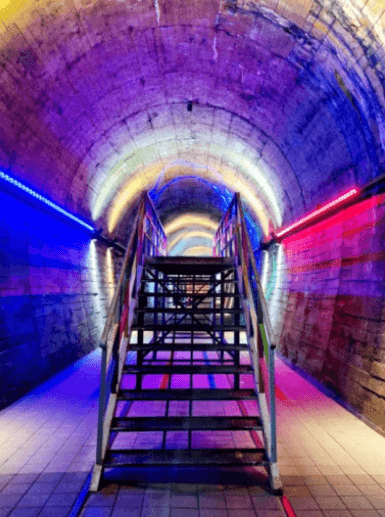 문경-오미자테마터널