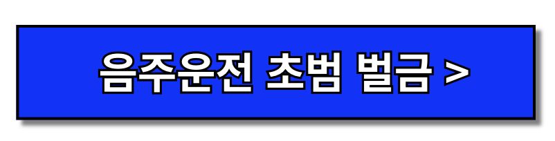 음주운전벌금 기준 조회 분할납부 사면(+김호중)