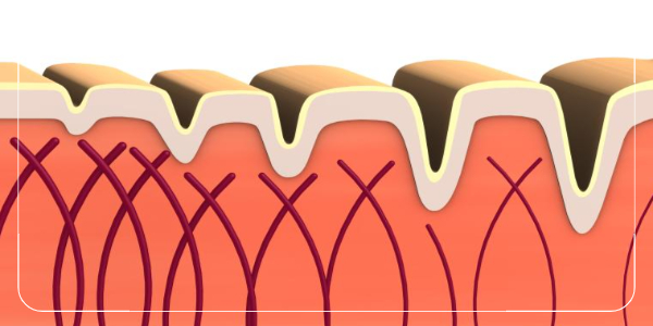 6콜라겐의 효능