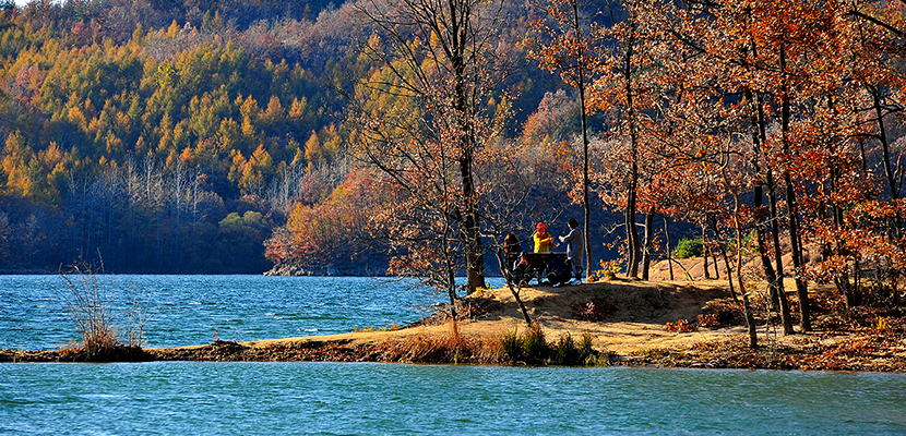 소(牛)맥 프리미엄 페스티벌