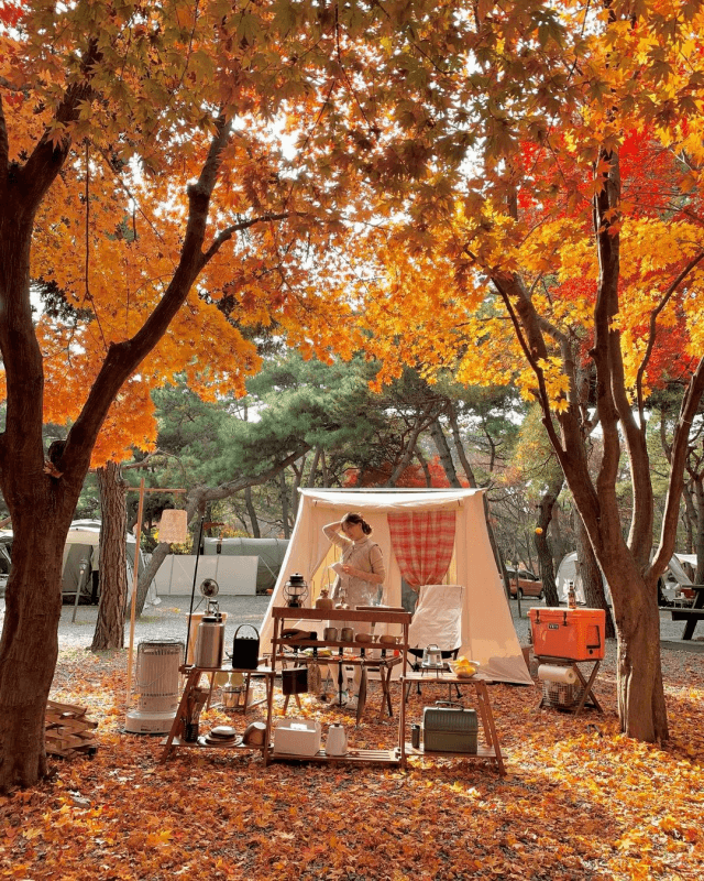 가을 단풍 사진 속 캠핑장 모습