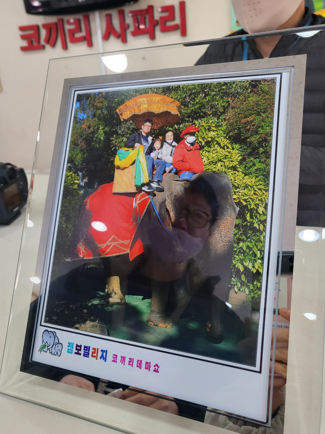 제주도 아이와가볼만한곳, 점보빌리지