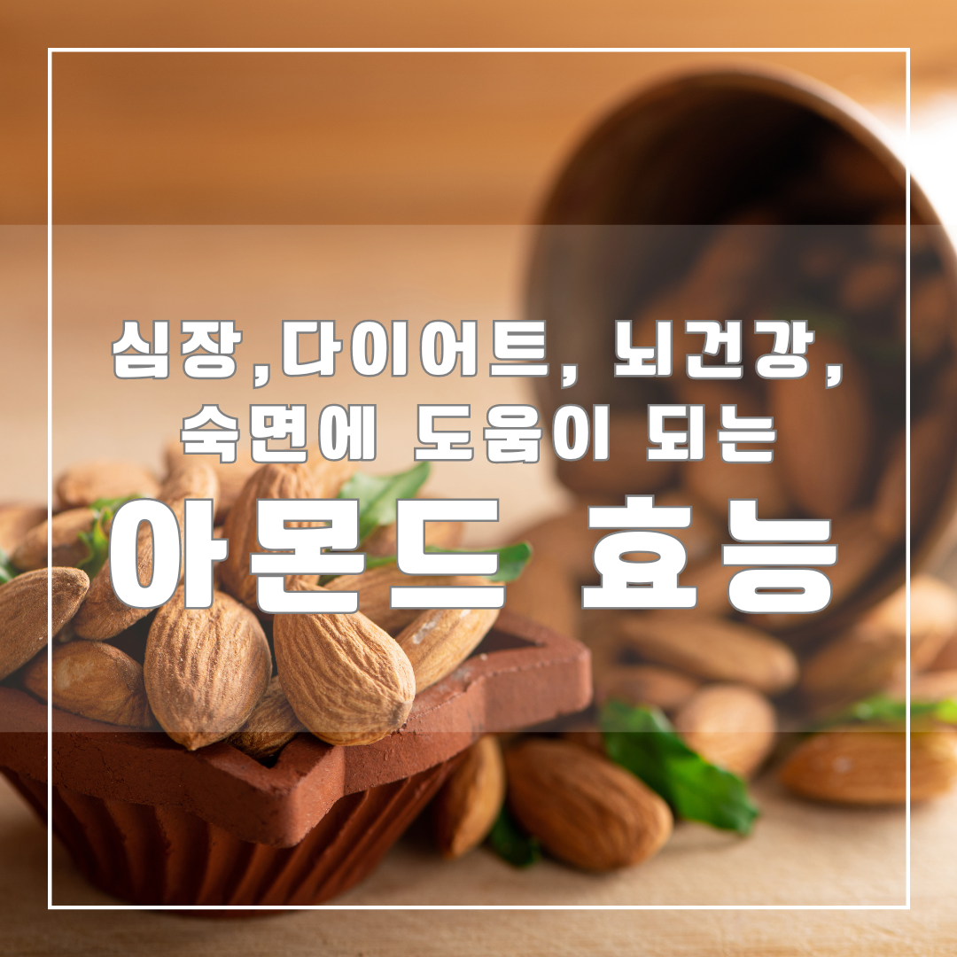 아몬드의 효능