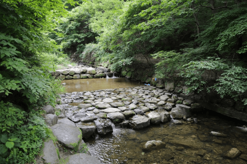 칠곡군 금화계곡