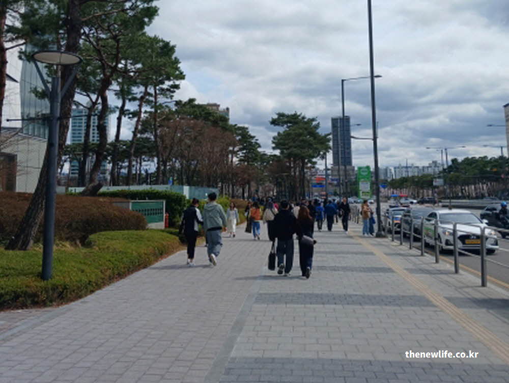 석촌호수 벚꽃 축제 가는 길 안내 사진