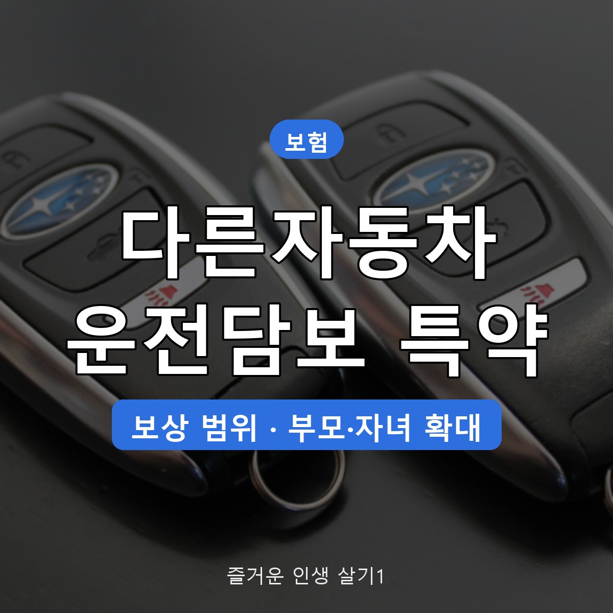 다른자동차 운전담보 특약 보상 범위, 남의 차 운전 사고 처리 조건