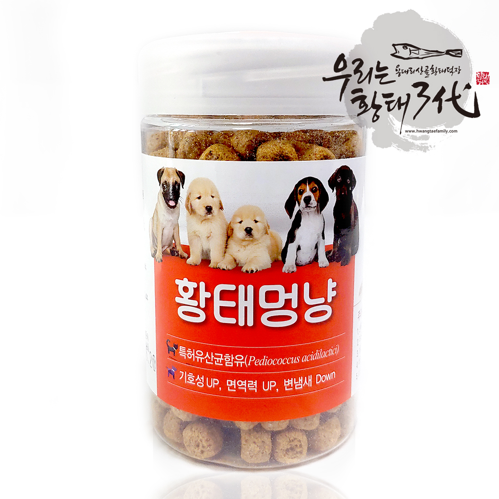 용대리 황태멍냥_우리는 황태 3대