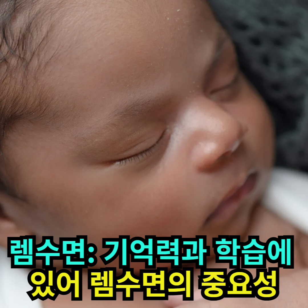 렘수면 기억력과 학습에 있어 렘수면의 중요성