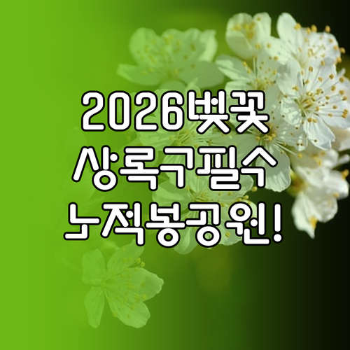 2026 안산 상록구 벚꽃 개화 시기..