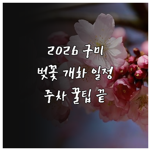 2026 구미 벚꽃 개화 시기 명소 ..