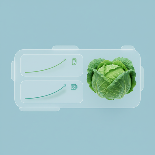 혈당&middot;혈압 걱정 뚝! 양배추의 혈관 관리 비법