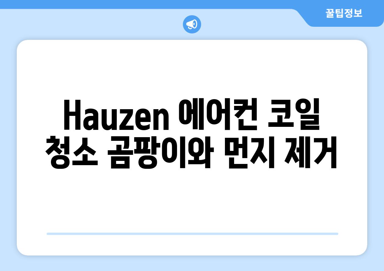 Hauzen 에어컨 코일 청소 곰팡이와 먼지 제거