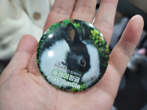 플레이정글배찌