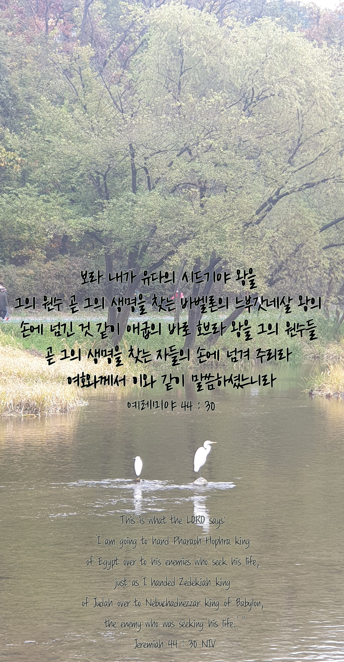예레미야 44장