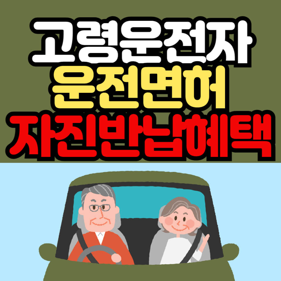 고령운전자_운전면허_자진반납