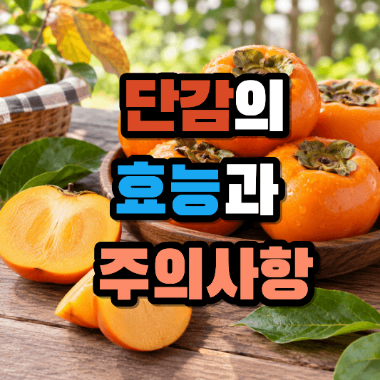 단감의 효능