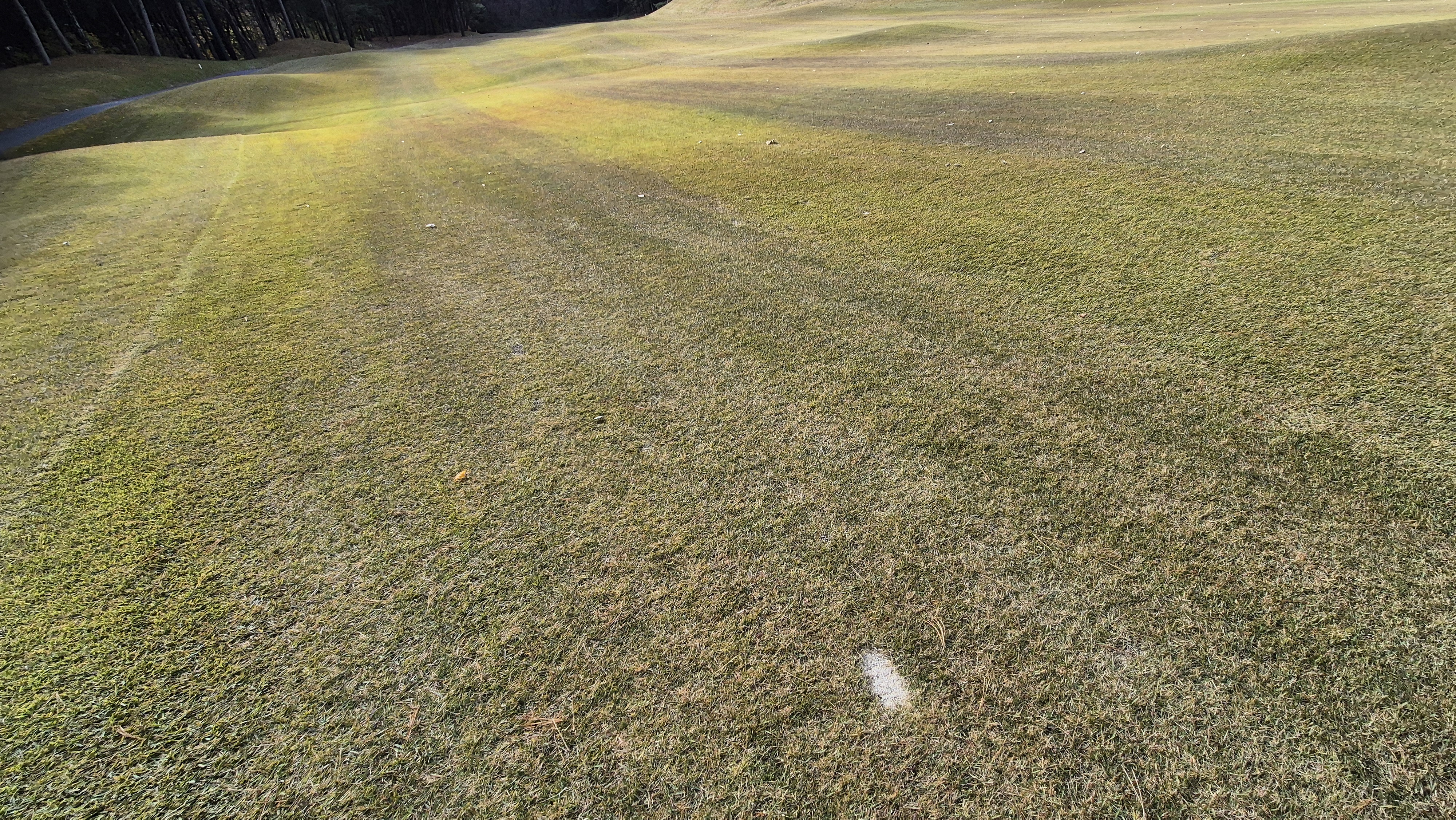 세종에머슨cc 밸리-마운틴 코스난이도