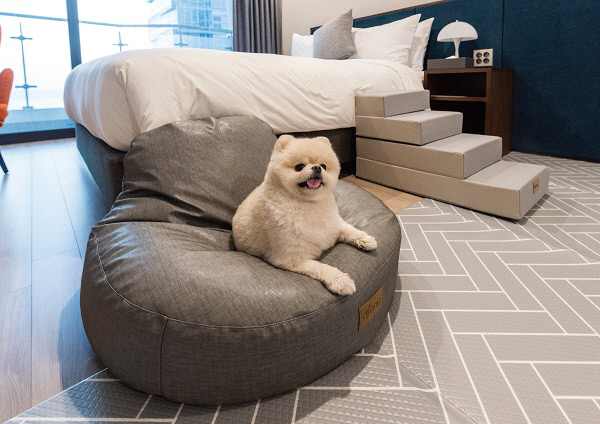 펫프렌들리호텔