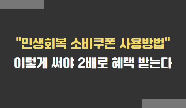 민생회복 소비쿠폰 사용방법
