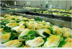 절임배추 물빼기 완벽정리, 3일 보관법까지