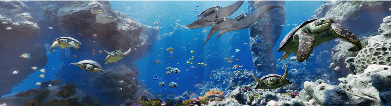 12월 서울축제 12월 새해