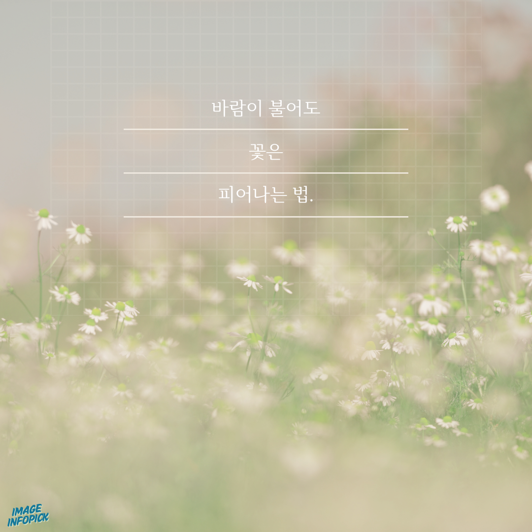 카톡 좋은 글귀 감성 글귀 감동 문구 이미지 모음