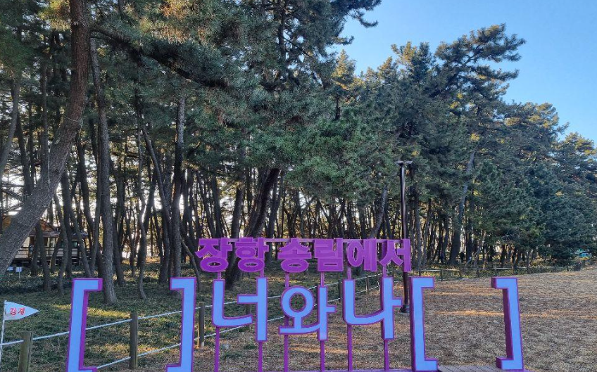 장항송림산림욕장의 역사와 치유 여행