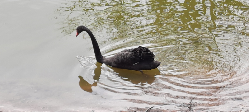 useContext란? 리액트 기초 공부
