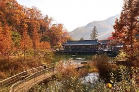 4.경기도 가볼만한곳 - 화담숲