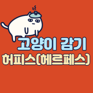 고양이감기-허피스-헤르페스-바이러스-증상-치료-대표섬네일