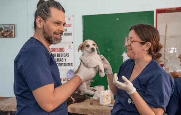 반려동물관리사&amp;#44; 반려동물 전문가 되는 법 총정리