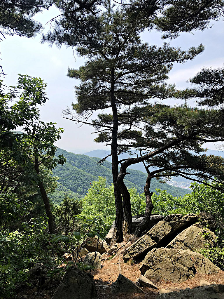 용마산등산코스