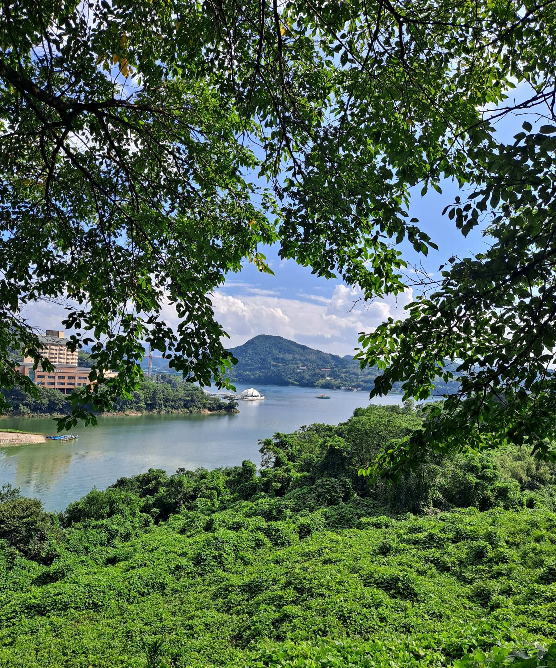 청풍호반 수경분수