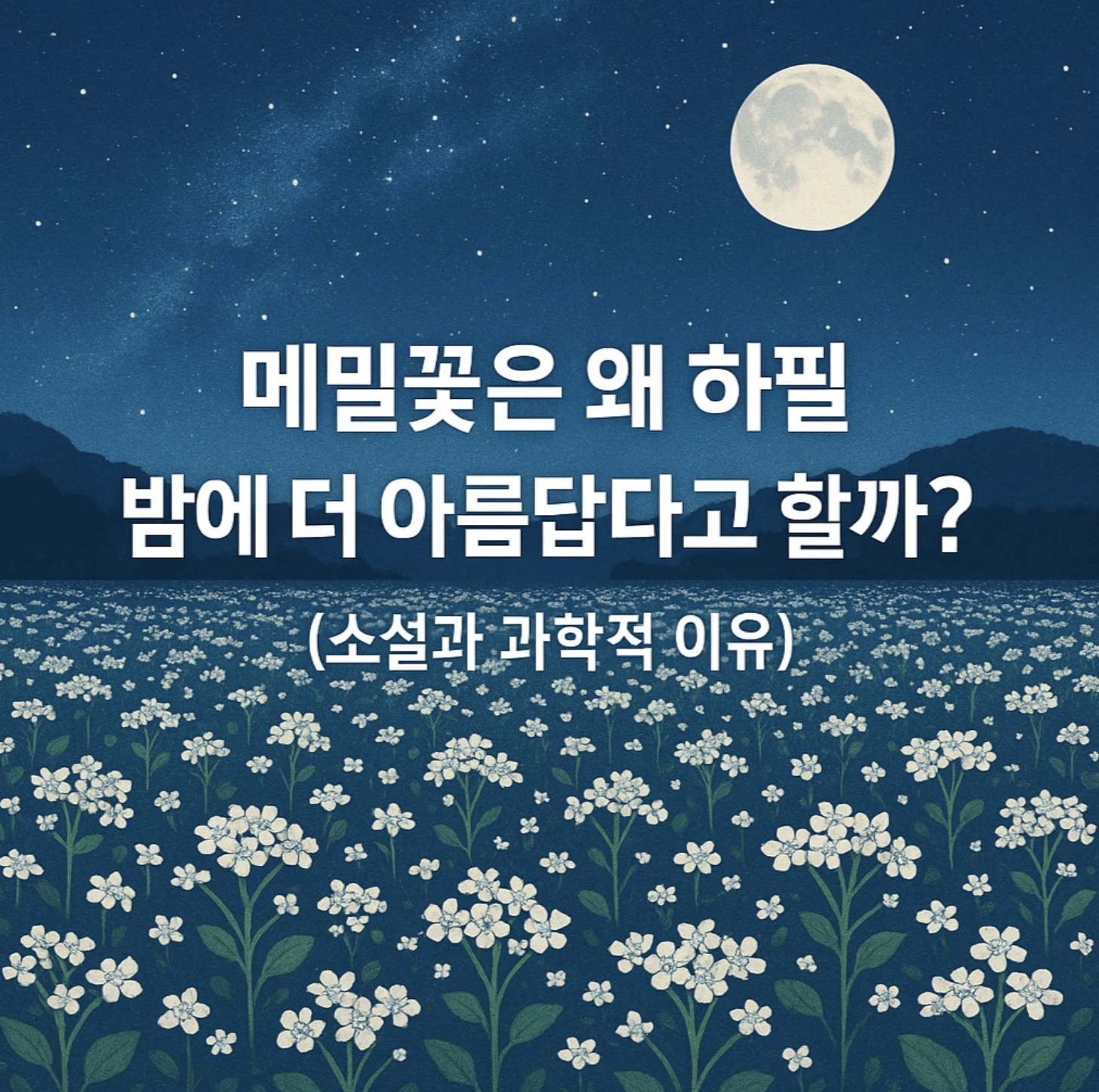 메밀꽃은 왜 하필 밤에 더 아름답다고 할까? (소설과 과학적 이유)