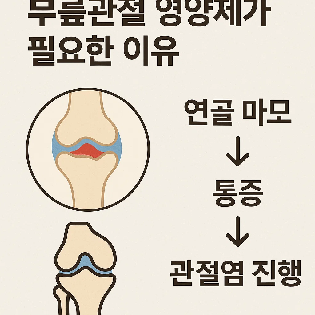 무릎관절영양제 필요성