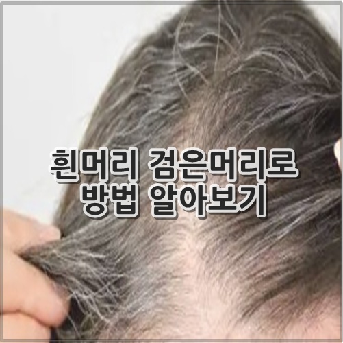 흰머리 검은머리로 방법 알아보기