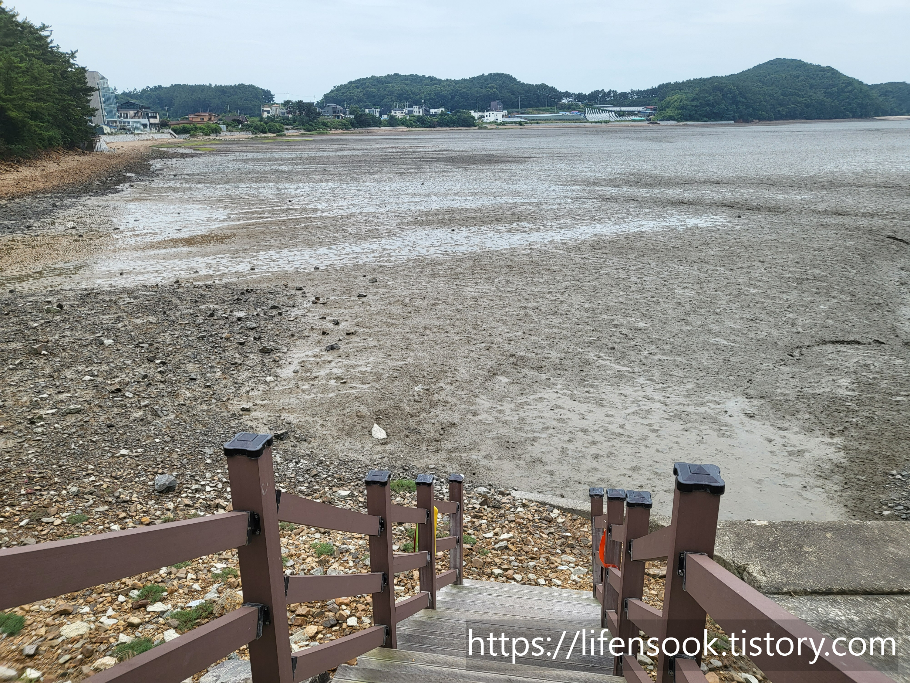 대부해솔길 3코스 길 8