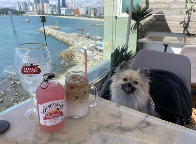 부산 해운대 더오션브런치 식당