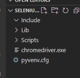 크롬드라이버 위치