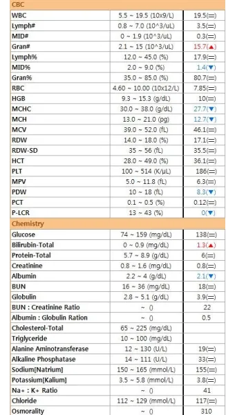 고양이 cbc 수치 해석, 의미, 관리_29