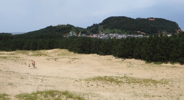 인천 여행지 추천&amp;#44; 인천 갈만한곳 - 대청도 모래사막