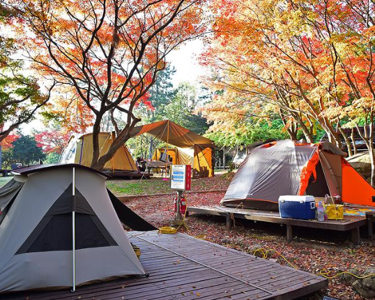 월출산 천황캠핑장 모습