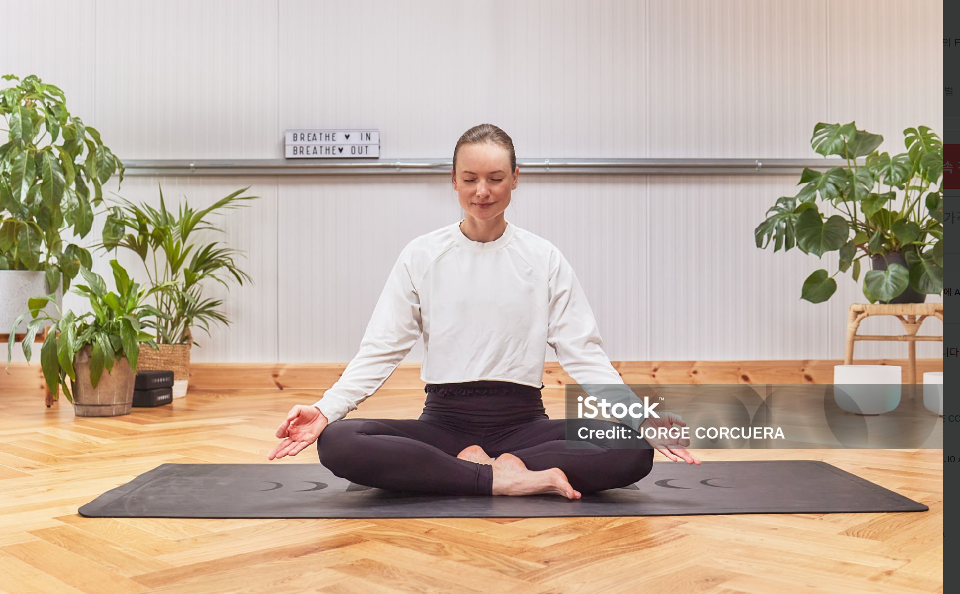 요가가 미니멀 삶에 주는 효과