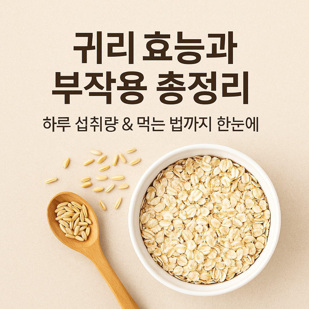 귀리 효능과 부작용 총정리 하루 섭취량과 먹는 법까지