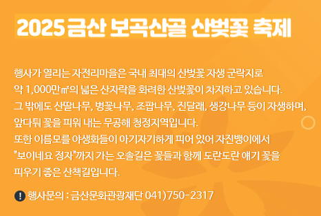 금산 보곡산골 산벚꽃 축제